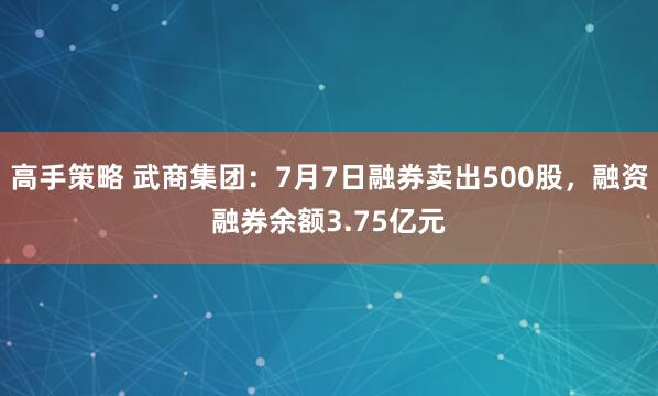 高手策略 武商集团：7月7日融券卖出500股，融资融券余额3.75亿元