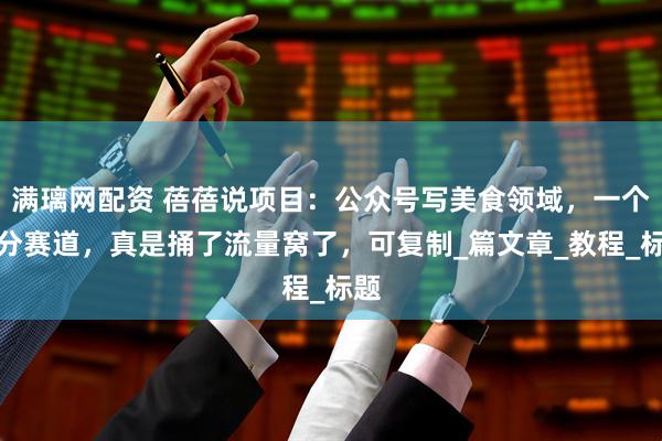 满璃网配资 蓓蓓说项目：公众号写美食领域，一个细分赛道，真是捅了流量窝了，可复制_篇文章_教程_标题