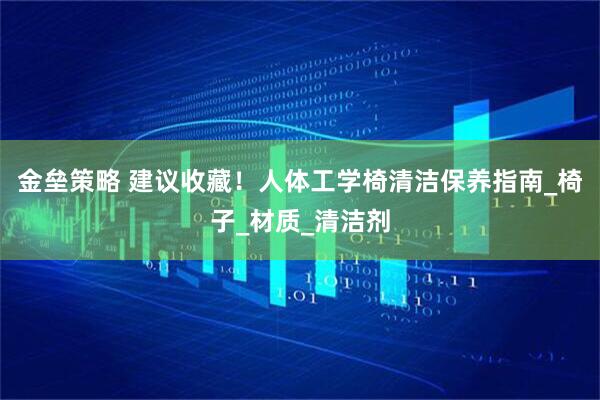 金垒策略 建议收藏！人体工学椅清洁保养指南_椅子_材质_清洁剂