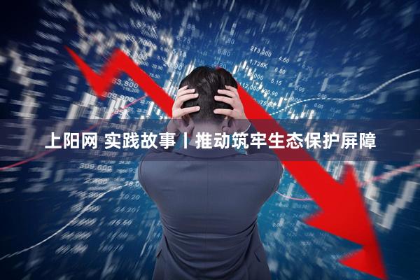 上阳网 实践故事丨推动筑牢生态保护屏障